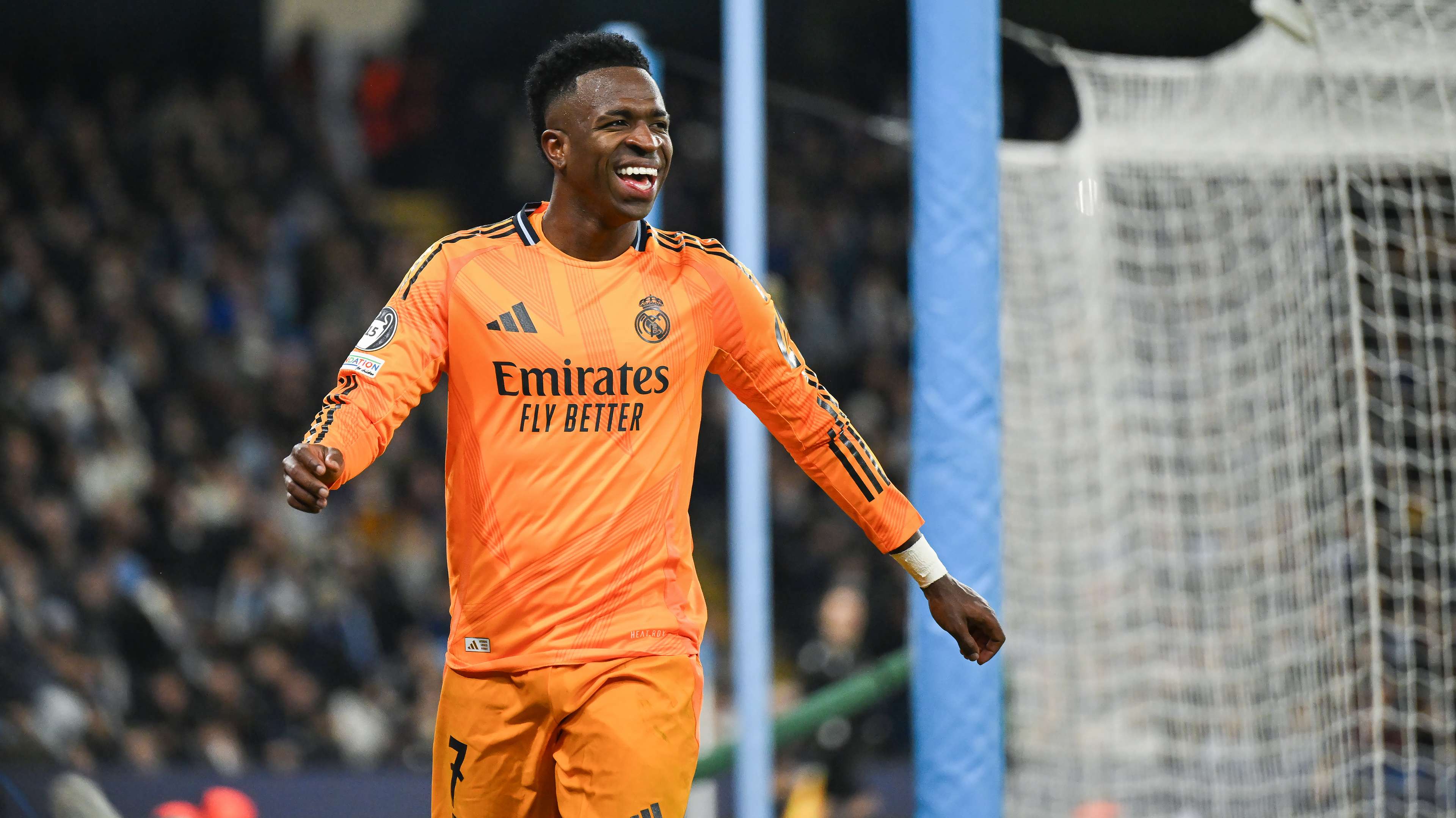 尽管引进小 尽管引进小